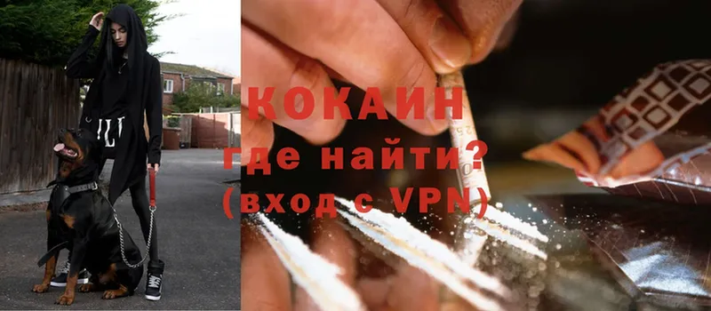 КОКАИН VHQ  Жиздра 